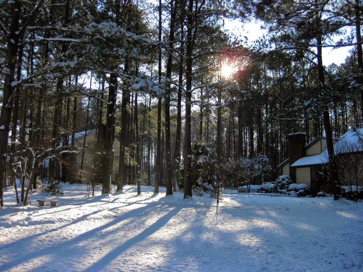 Houses behind some trees with a snowy ground and the sun poking through the trees.